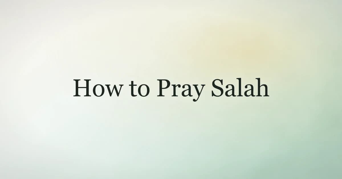 How to pray salah for beginners โ step-by-step guide to the daily Islamic prayer