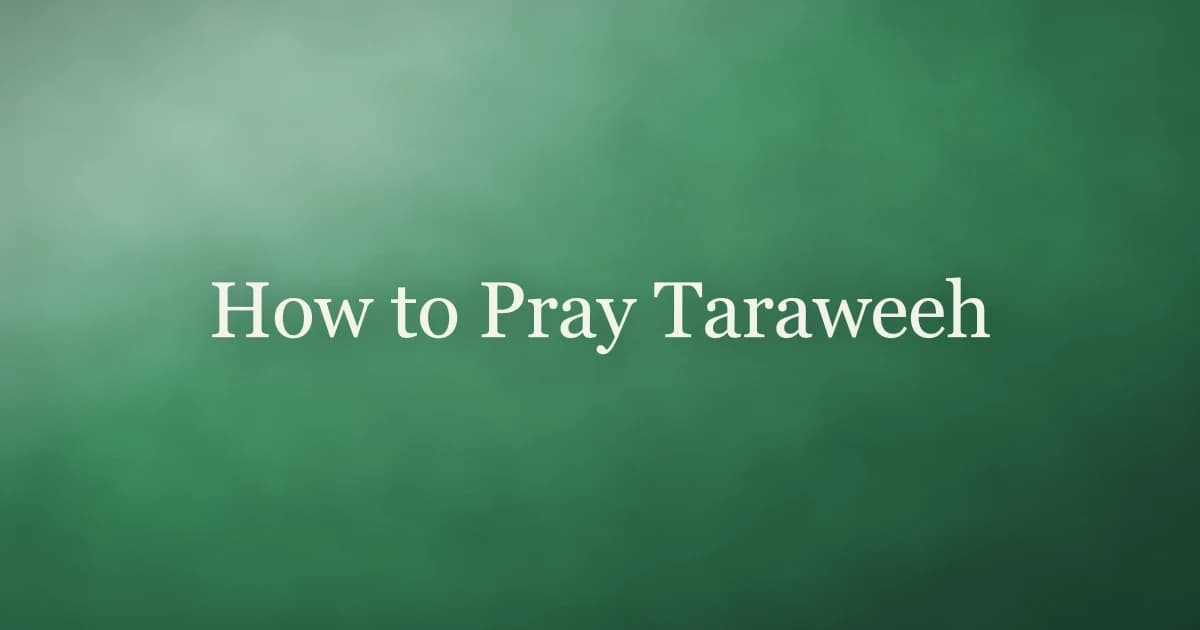 How to pray Taraweeh โ step-by-step guide to the Ramadan night prayer